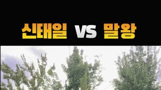 신태일vs말왕