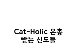 Cat - Holic 은총 받는 신도들