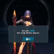 막내들로 문전성시?