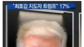 한국인이 뽑은 최호감 외국인 지도자