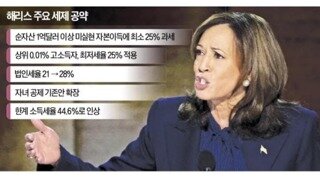 해리스가 대통령 선거로 내건 공약