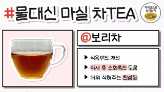 물 대신에 마셔도 되는 차(TEA)종류