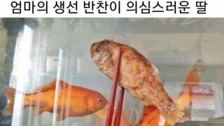 엄마가 해 준 반찬이 의심스러운 딸