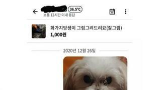 당근마켓 1000원짜리 커미션