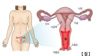 ㅇㅎ 질의 크기는 어떻게 될까?