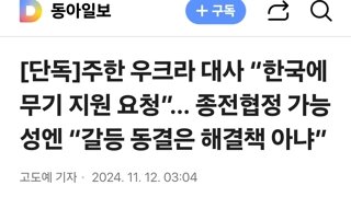 주한 우크라 대사 “한국에 무기 지원 요청”… 종전협정 가능성엔 “갈등 동결은 해결책 아냐”