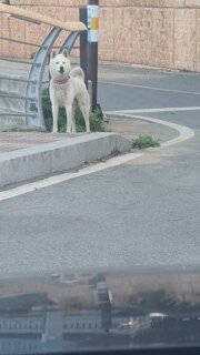 요즘도 이런사람이 있네