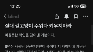 길고양이 줍지 말란 유저 ㄷㄷㄷㄷㄷ;;; . jpg