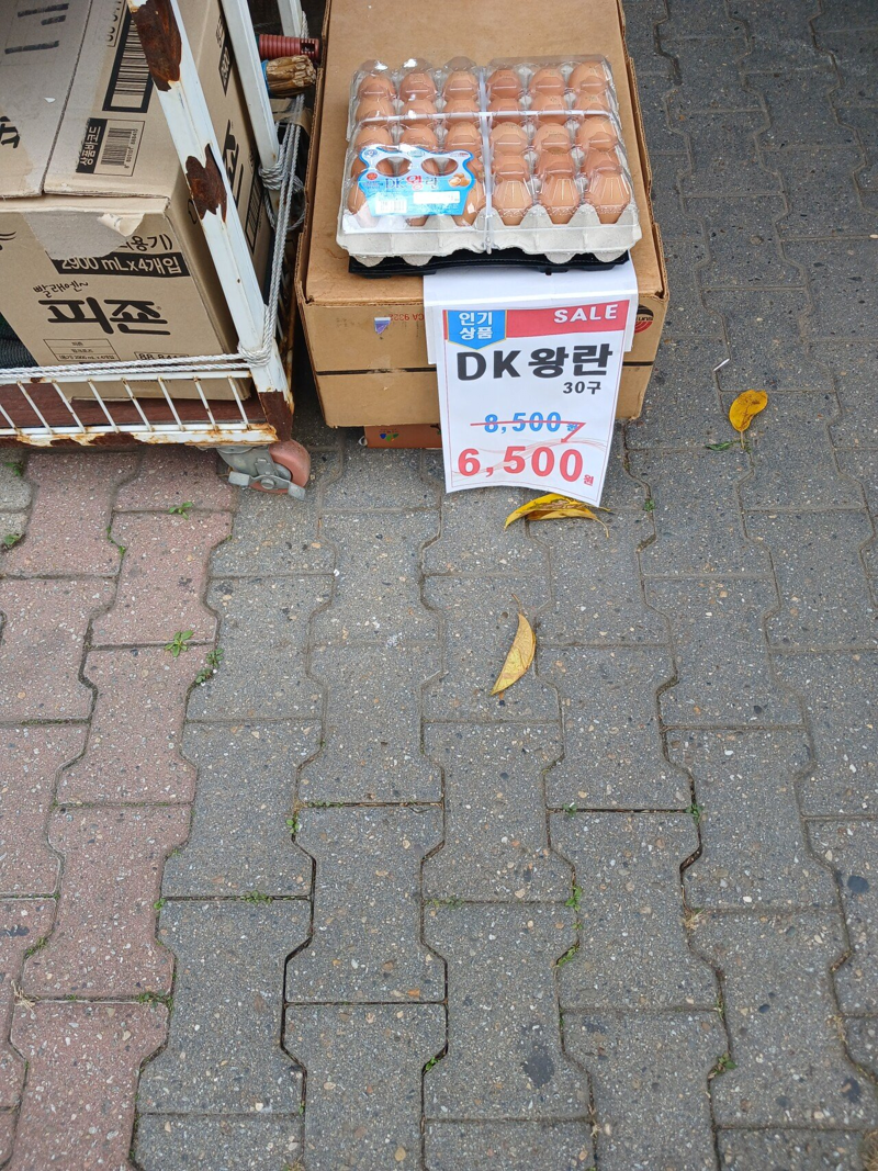 란이네 이미지