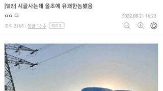 시골 사는 유쾌한 놈