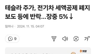 테슬라 주가, 전기차 세액공제 폐지 보도 등에 반락…장중 5%↓