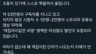 페미들에게 좌표찍힌 스트리머