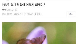 바람의나라 클래식 현재 상황