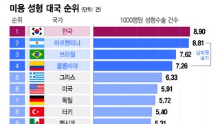 한국 성형 비율