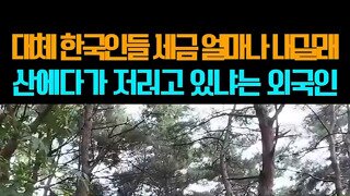 한국의 공공시설에 놀라는 외국인.mp4