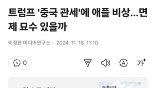 트럼프 '중국 관세'에 애플 비상…면제 묘수 있을까