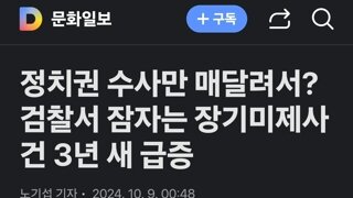 정치권 수사만 매달려서? 검찰서 잠자는 장기미제사건 3년 새 급증