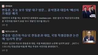 골때리는 한동훈 게시판 댓글 상황