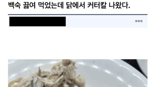 백숙에서 나온 커터칼 ㄷㄷㄷㄷㄷㄷㄷㄷ;;;;