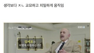 암 세포가 몸속을 이동하는 방법