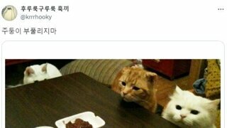 12년만에 생각이 바뀜