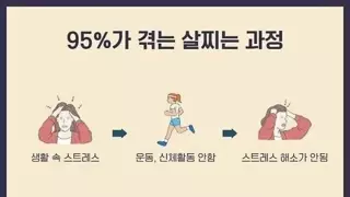 95%가 겪는 살찌는 과정.jpg