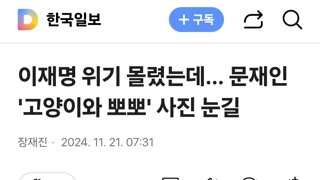 이재명 위기 몰렸는데… 문재인 '고양이와 뽀뽀' 사진 눈길