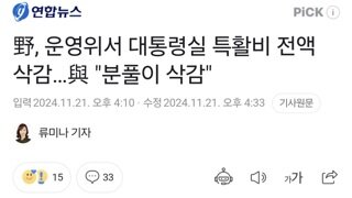 野, 운영위서 대통령실 특활비 전액 삭감…與 