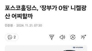 포스코홀딩스, '장부가 0원' 니켈광산 어찌할까