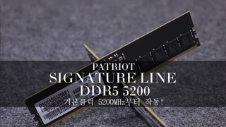 기본클럭 5200MHz부터 작동! - 패트리어트(Patriot) SIGNATURE LINE DDR5 5200