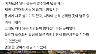 편의점에 난입한 골든 리트리버