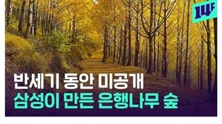 삼성이 50년 동안 꽁꽁 숨겨둔것