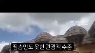 디즈니랜드 극한직업 곰돌이 푸.mp4...