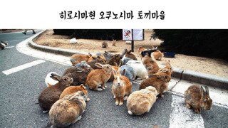 왜국의 다양한 동물 마을