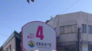 퍼리 위플래시