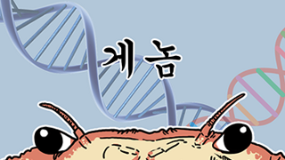 펙트로 모두를 조지는 아버지