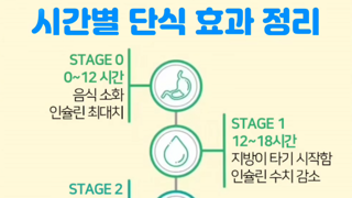 시간별 단식 효과