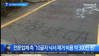 전문업체피셜 : 락카글씨 지우는데 300만원