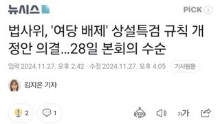 법사위, '여당 배제' 상설특검 규칙 개정안 의결…28일 본회의 수순