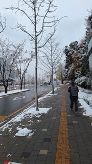 서울 보라매공원 눈오는 풍경 사진