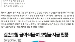 건강·실손보험, 중복 보장 막는다