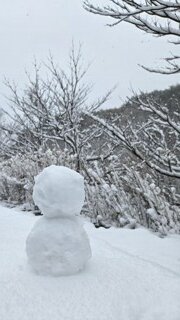 눈 많이 오네요..... 안전운전 하세요~~