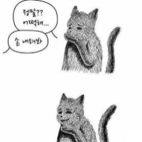 스티커 이미지