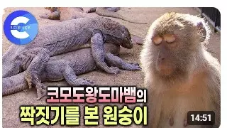 ㅇㅎ?) 요즘 EBS 썸네일 뽑는 실력....jpg