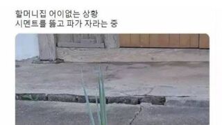 힘을 각성한 파