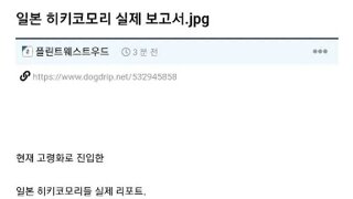 일본 히키코모리 보고서