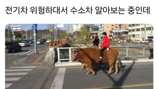 전기차 위험해서  수소차 바꿈