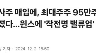 자사주 매입에, 최대주주 95만주 던졌다…윈스에 '작전명 밸류업' 성토