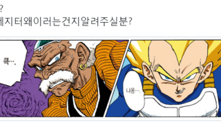 개판이었던 드래곤볼 구판 번역