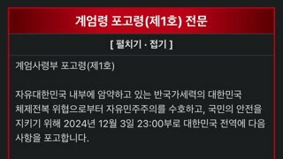 2024년 계엄령 포고령 전문